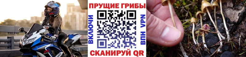 Галлюциногенные грибы Magic Shrooms  Белгород 
